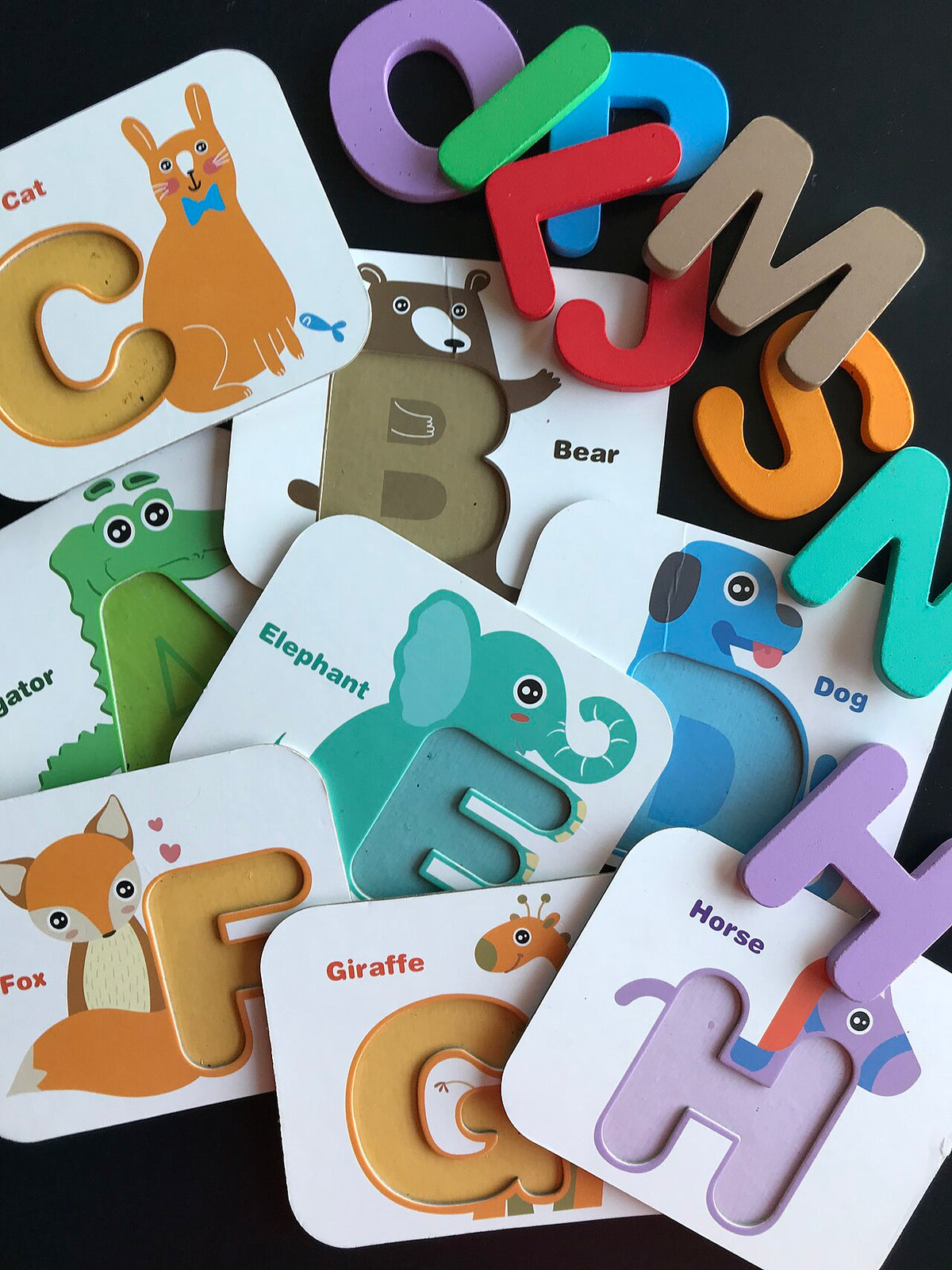 Early Concepts Flashcard Pack (5 sets)